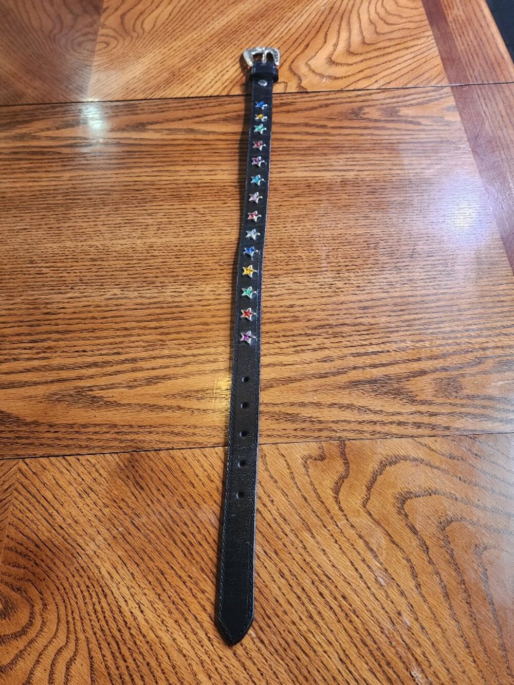 Vintage Nocona Rainbow Star Deadstock Belt Sz 20